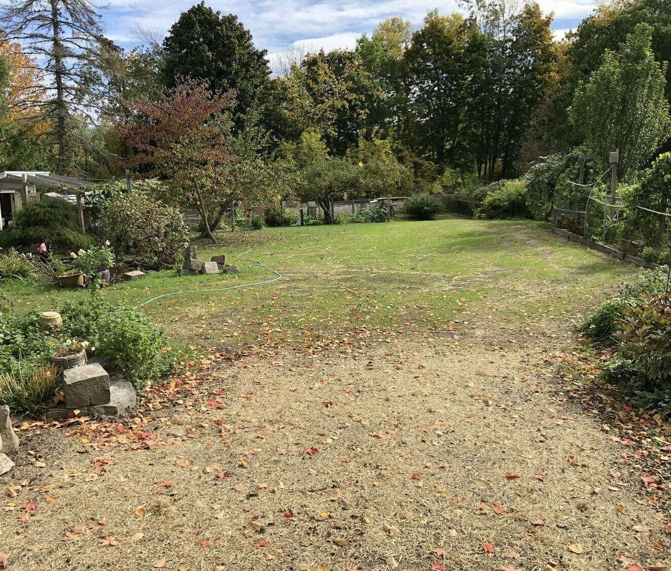 Yarmouth Maine Brush Removal/Lawn Install