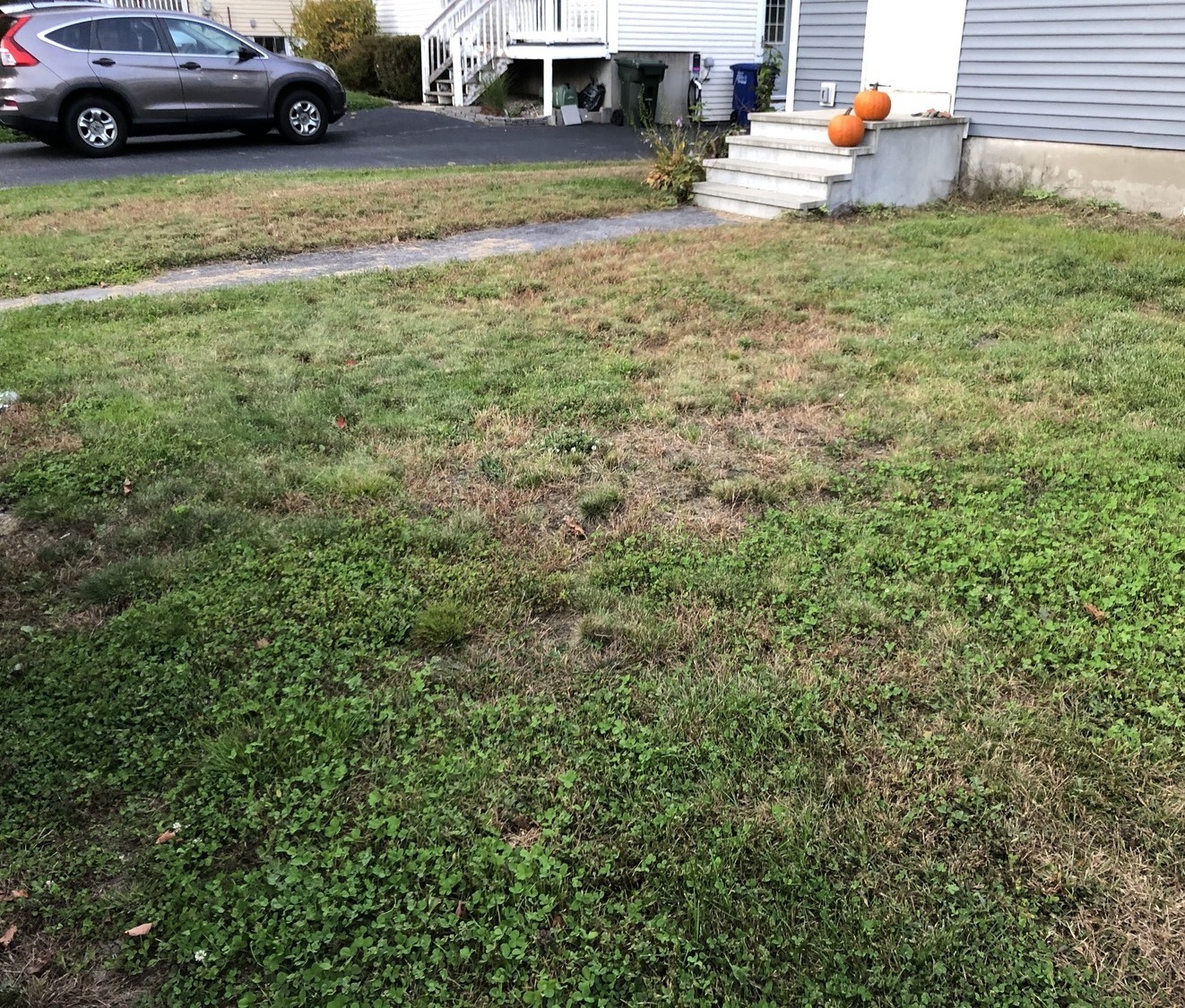 South Portland Maine Sod Install